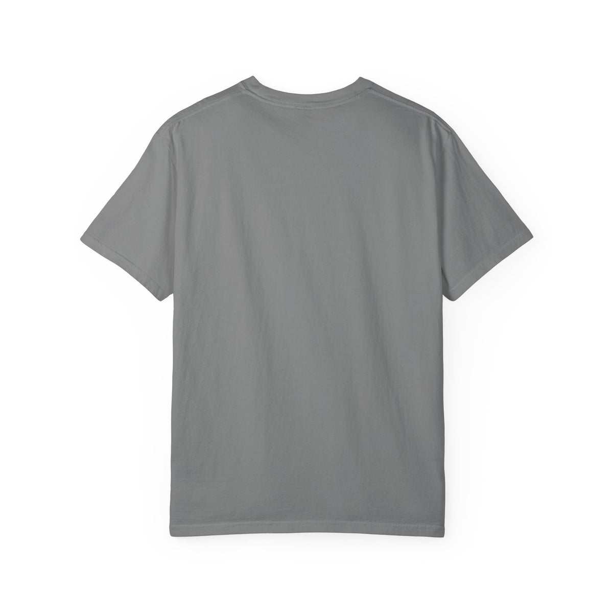 I Survived Move In T-Shirt